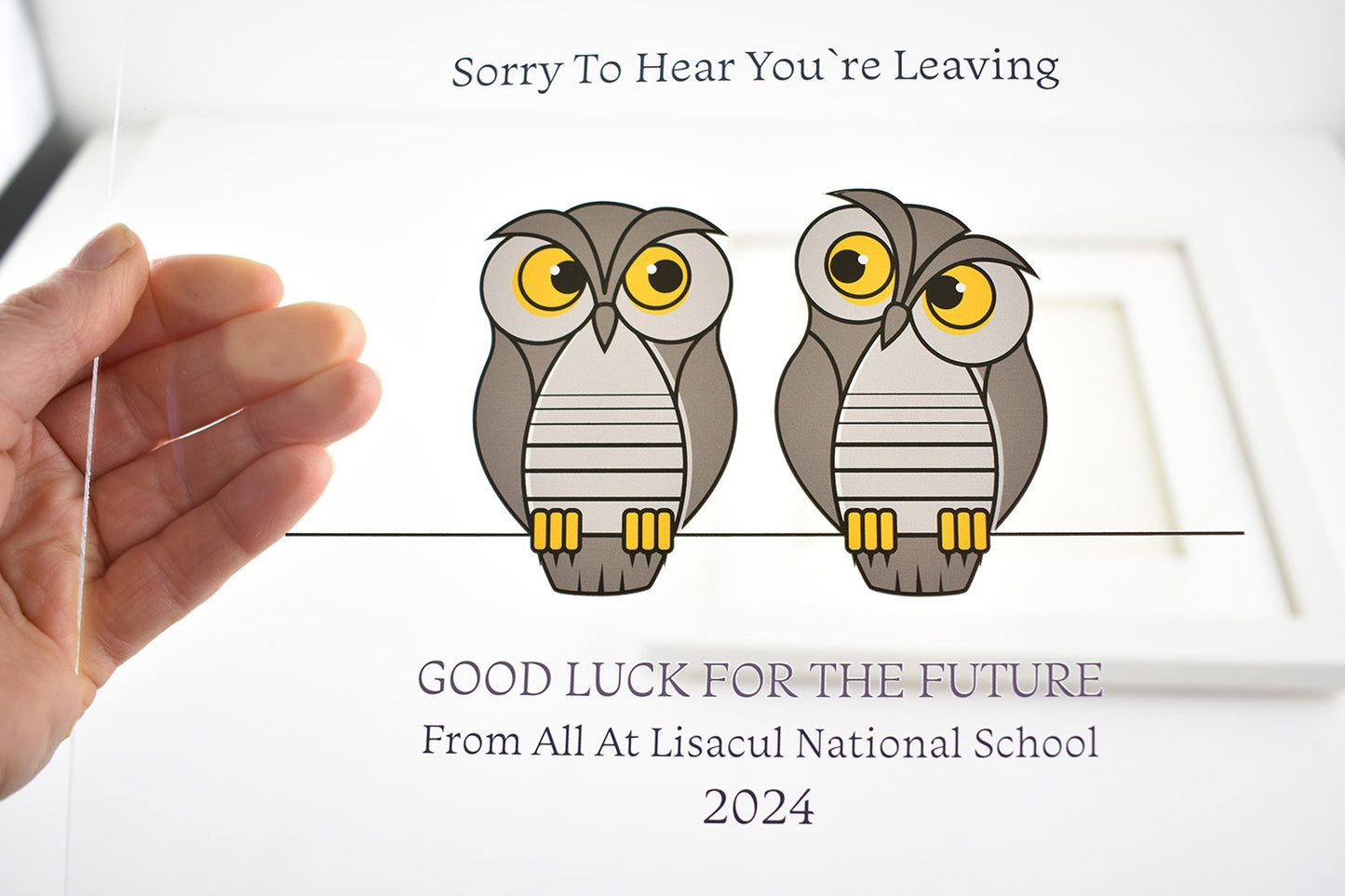 Retirement/ Leaving/Anniversary - Two Owls