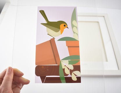 Robins Appear